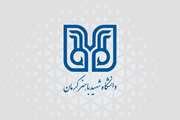 درخشش ستارگان دانش در آیین تقدیر از استادان سرآمد استان کرمان