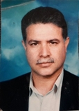 دکتر حسین محبی